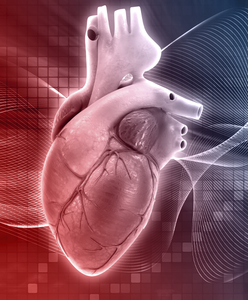 Heritage Medical Team